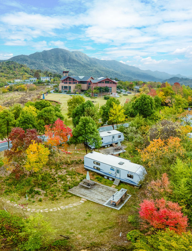 秋意濃情，雙峰山裡的金色畫卷。