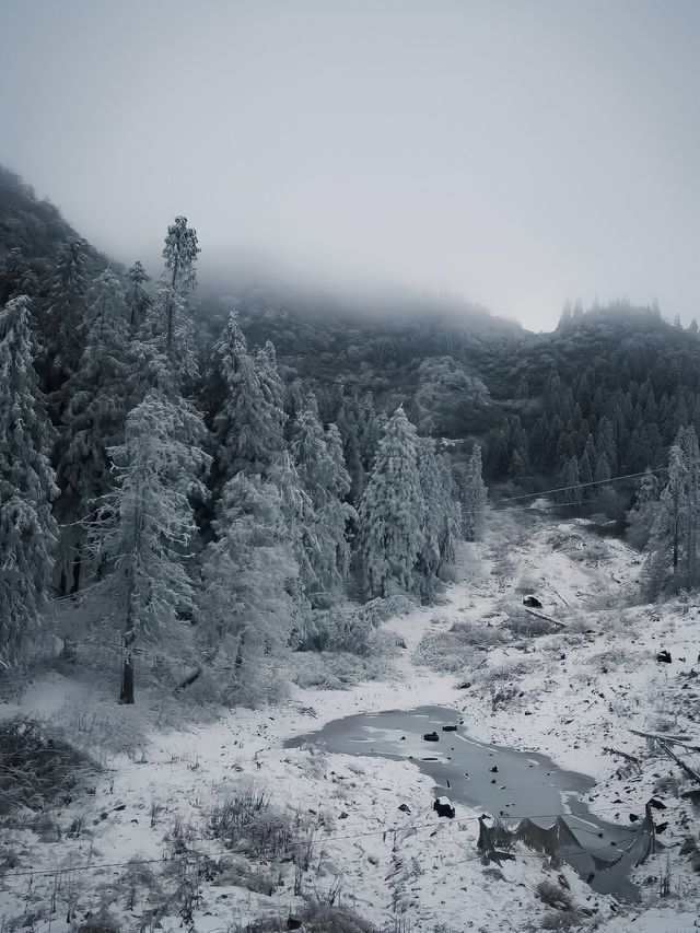 南天湖景區門票只需58元嗎？。