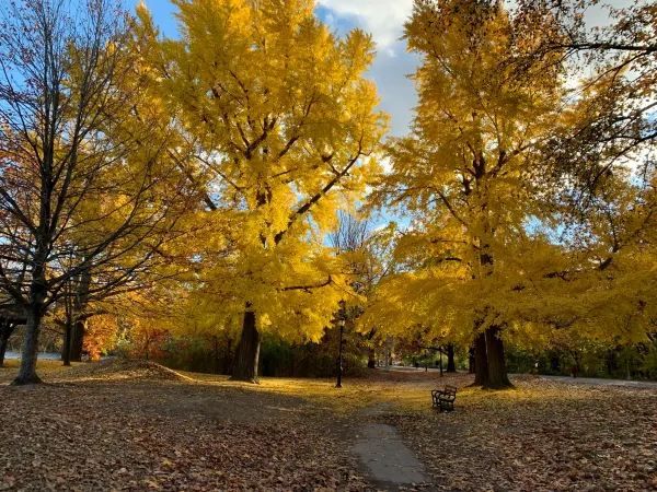 Winter scenery of Prospect Park!! 