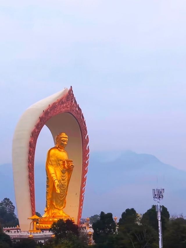 東林大佛保姆級旅遊攻略，快收藏！