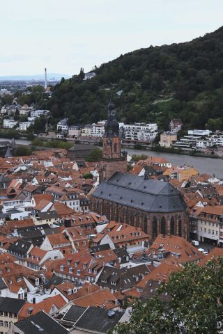 German Town Tour | Heidelberg Day Trip. 