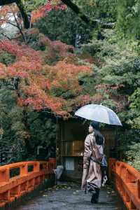 紅葉還未全盛，雨天也等不及飛到京都。