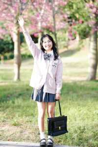 11月26日實拍！廣州從化這棵異木棉美到封神！。