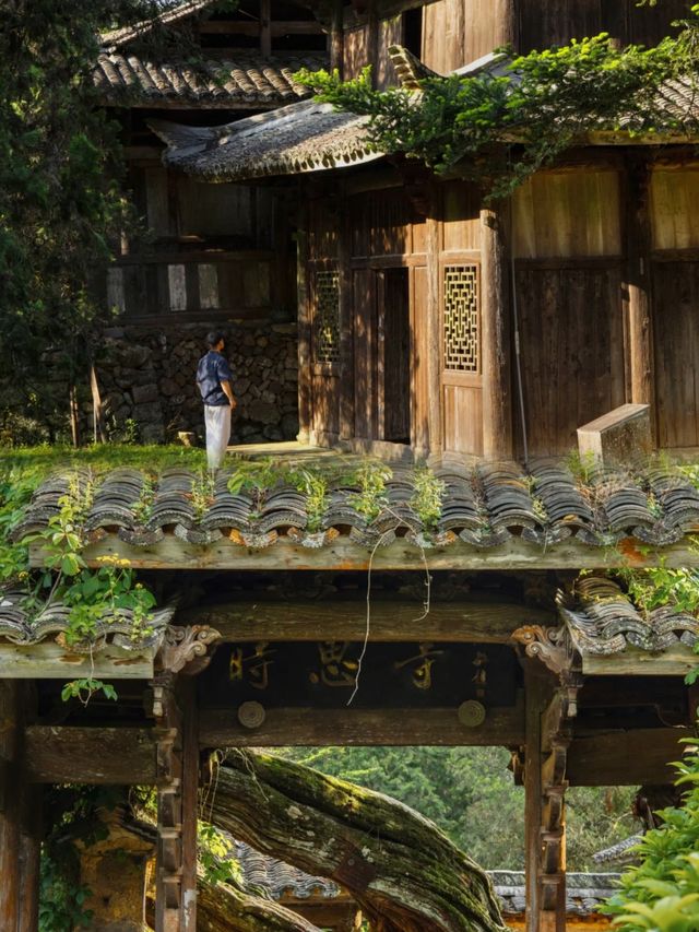 打卡浙江景寧一個被嚴重低估的寶藏旅遊小城。 打卡浙江景寧一個被嚴重低估的寶藏旅遊小城。