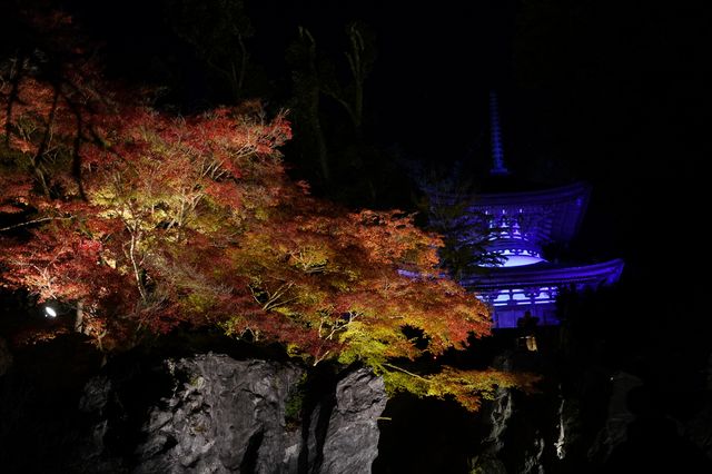 石山寺夜楓