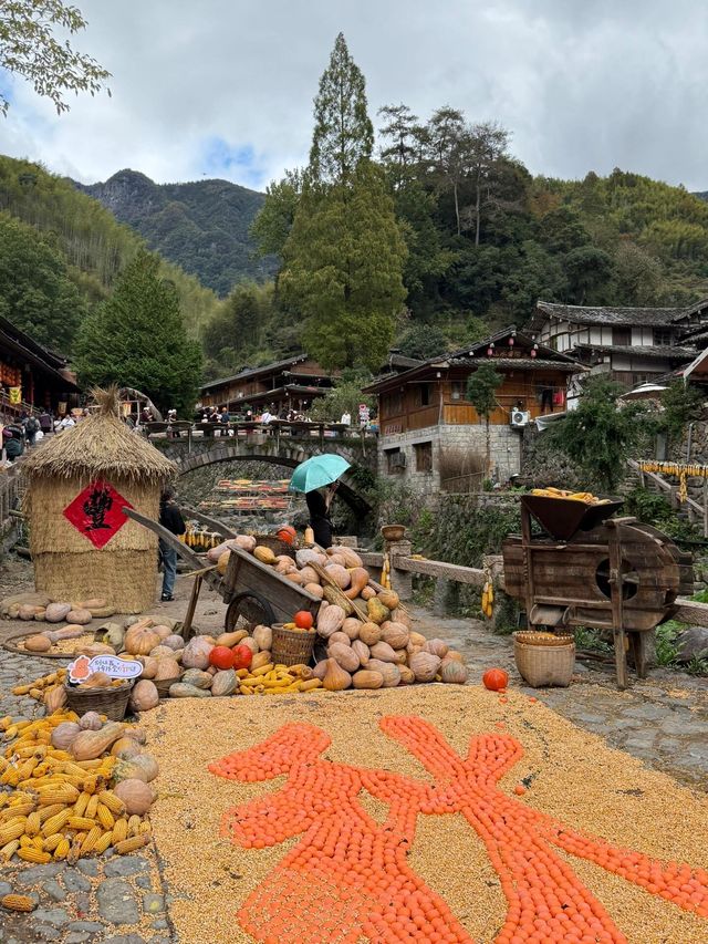 溫州「小婺源」，人生建議看一次曬秋吧