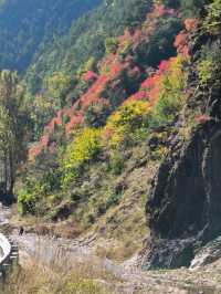 秦嶺峽口紅葉感受大自然的鬼斧神工