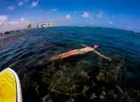 累西腓：巴西的活力海濱之城