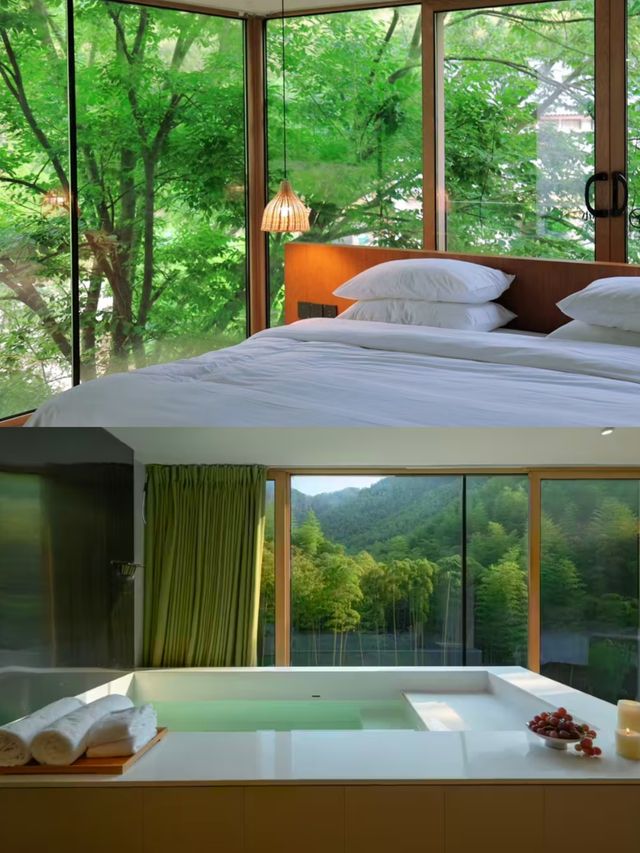 為了這扇窗景🪟我願再來莫干山無數次
