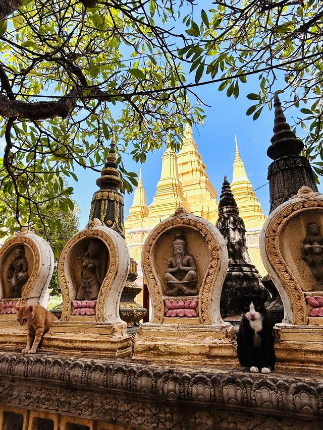 6天探索世外桃源：柬埔寨旅行全解讀