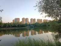 撫順月牙島生態公園：城市中的詩意綠洲