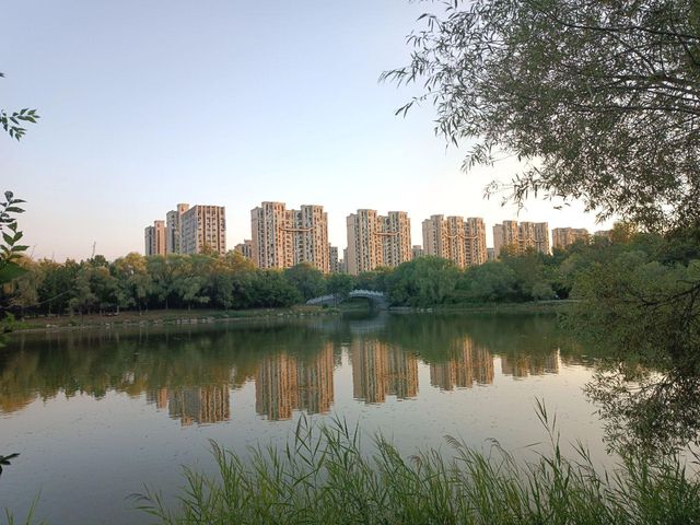 撫順月牙島生態公園：城市中的詩意綠洲