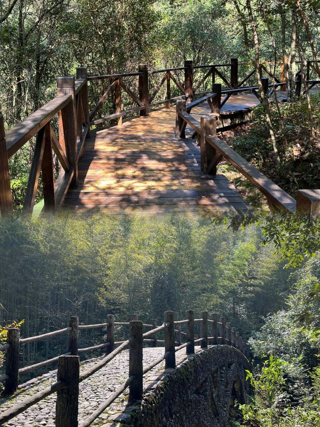 衢州·藥王山｜探秘神農秘境，暢享自然瑰寶