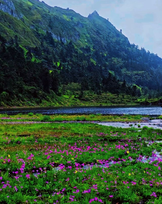 香格里拉無底湖～上帝遺失的綠翡翠～