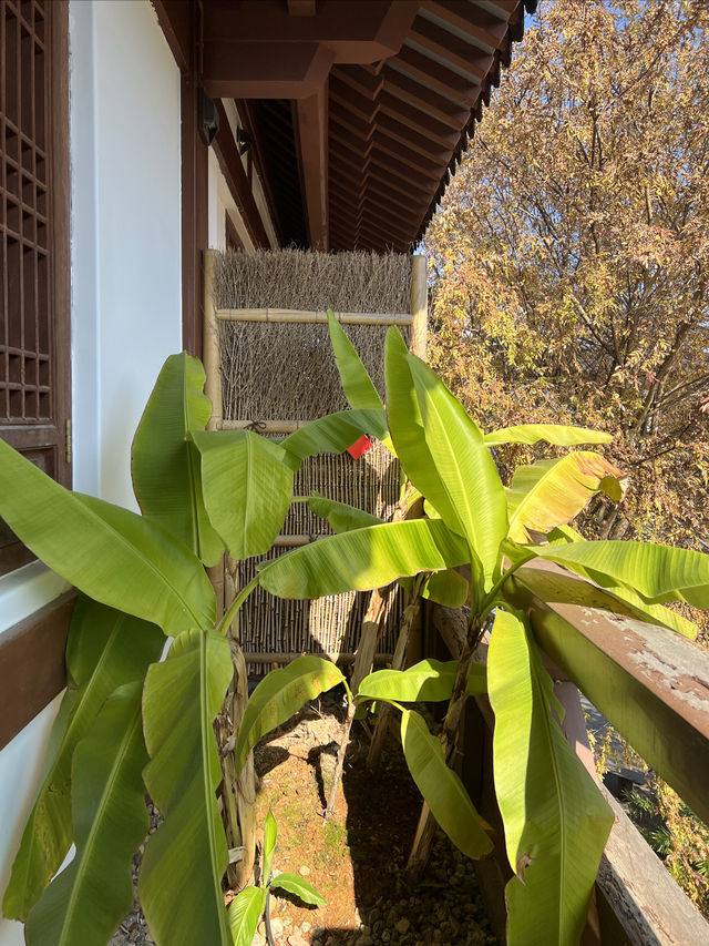 武夷山這家民宿太好住了