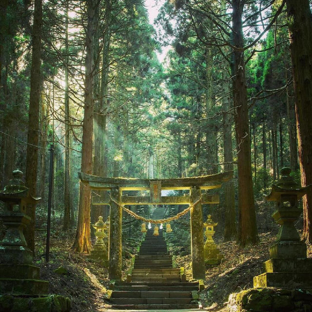 東京大阪去膩了，會玩的人都去九州了🌲