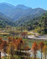 頭陂公園，自然與歡樂的完美融合