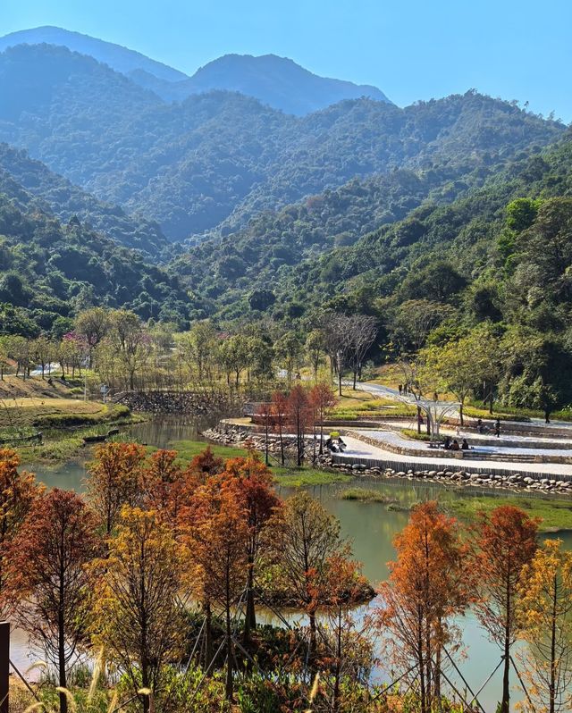 頭陂公園，自然與歡樂的完美融合