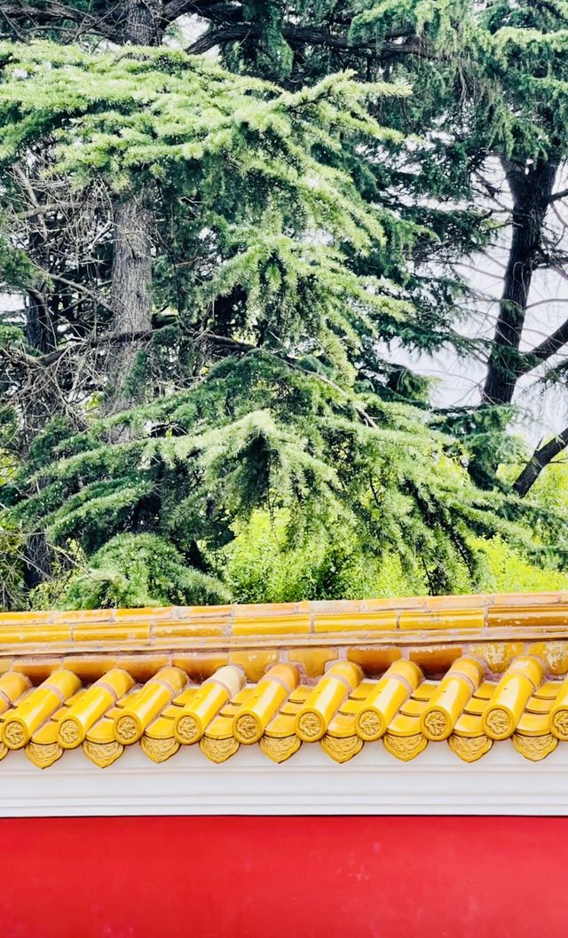不捨離開～最後半日休閒漫步！