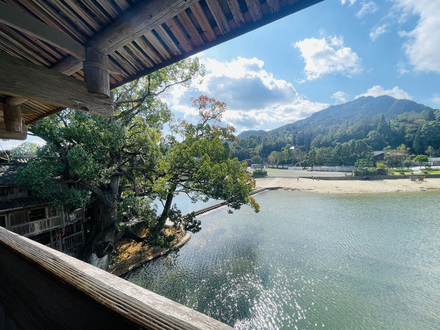 泰順山韻泉居泡溫泉完美攻略