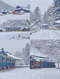 平昌郡：自然與人文共舞的韓式綺夢