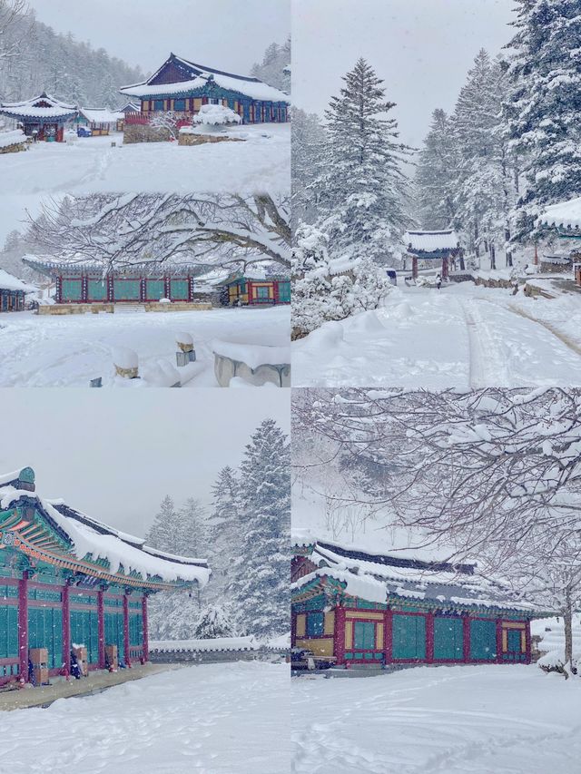 平昌郡：自然與人文共舞的韓式綺夢