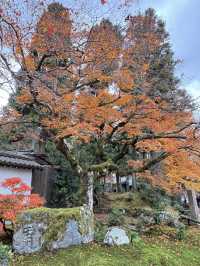 秋韻南禪寺