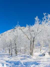 雪鄉等地 3天經典路線｜保姆級攻略