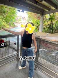 新加坡環球影城會懲罰每一個不做攻略的人！