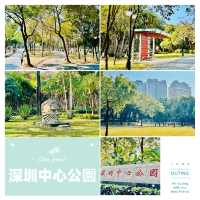 來深圳中心公園逛逛啦