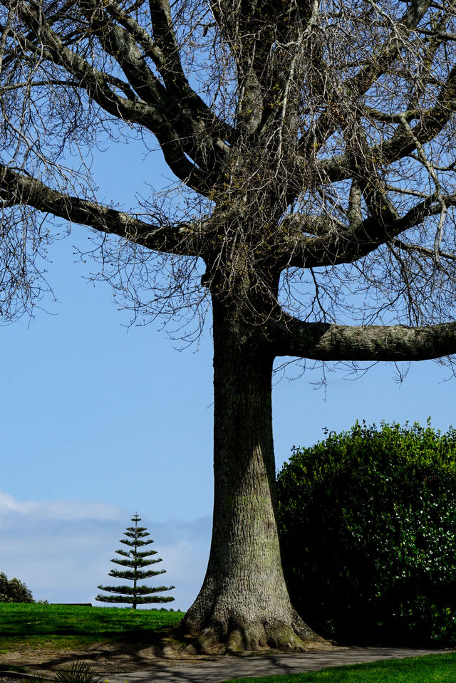 Explore the Auckland Botanic Garden This Spring