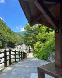 探秘德島祖谷｜自然奇景與古樸風情的交融