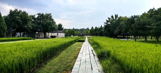 北坞公園的夏天，真美！