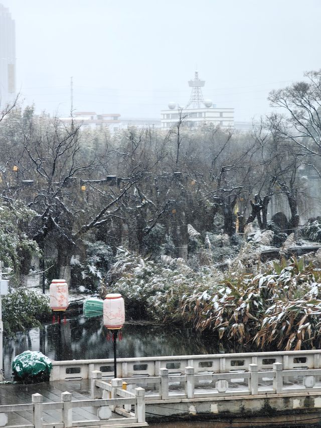 昆明大觀公園雪景如畫