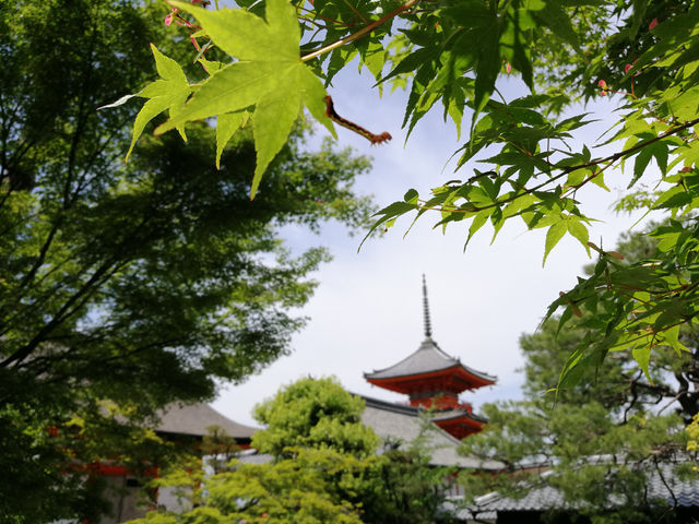 來看看日本清水寺古韻悠長的佛教聖地