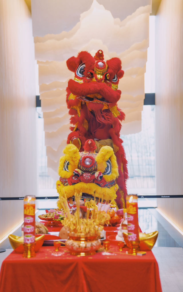 醒獅賀歲 體驗非遺文化的浪漫