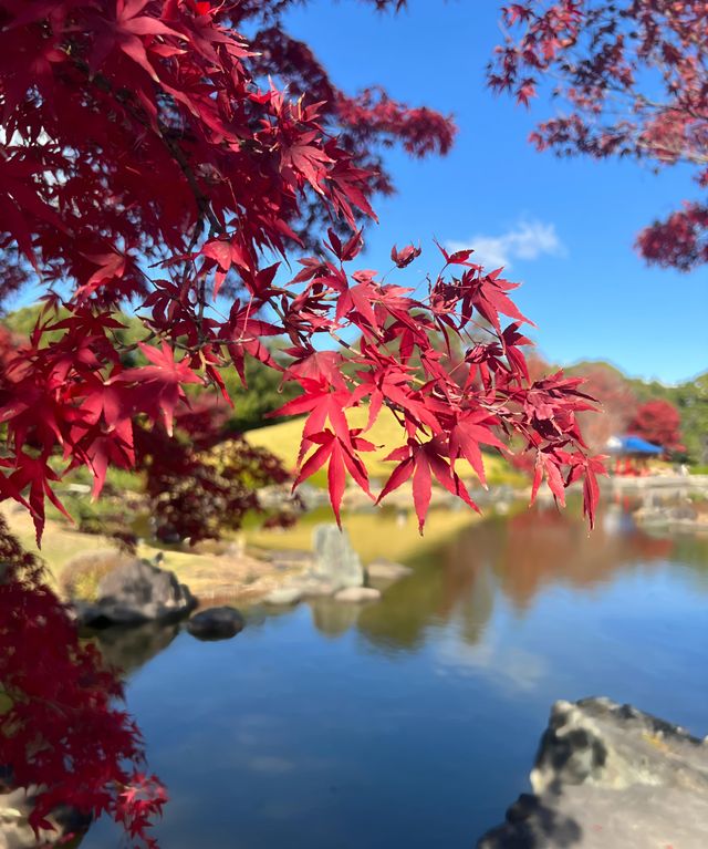 日本堺市大仙公園｜隱藏在城市中的趣味遊玩寶藏地