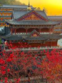 在廣東！！我唯一想去無數次的超大免費寺廟！！