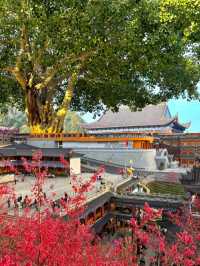 在廣東，我唯一想去 數次嘅超大免費寺廟！