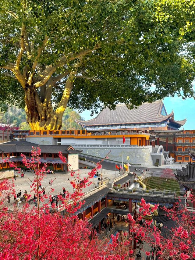 在廣東，我唯一想去 數次嘅超大免費寺廟！
