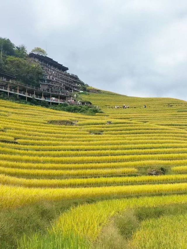 陽朔4日遊｜超全攻略 玩轉山水甲天下