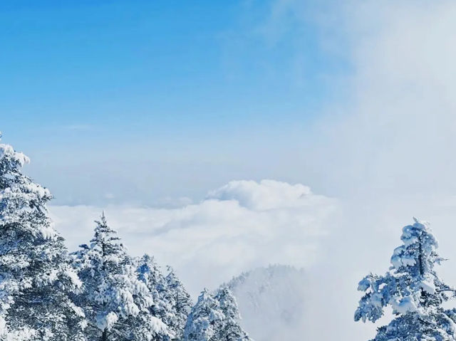 在光霧山，邂逅冬日限定的童話夢境