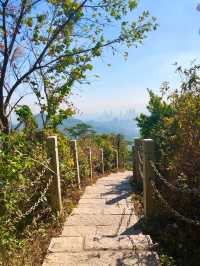 深圳登山-塘朗山（五）