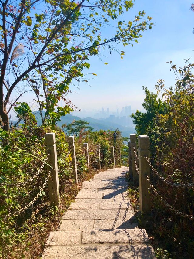 深圳登山-塘朗山（五）