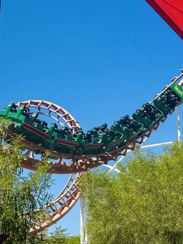 Experience the Thrill of Six Flags Magic Mountain