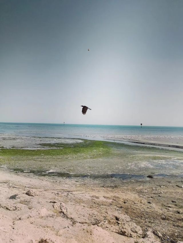 沙特達曼3天2夜懶人攻略 | 海邊城市的小眾玩法