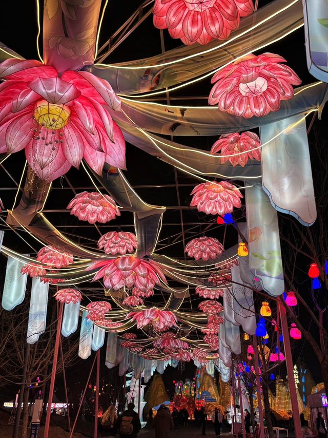 美哭了！北京溫榆河千燈會太震撼！