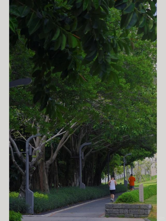 廈門寶藏公園竟然還有人不知道！