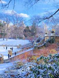 雪後的中央公園太美啦——附公園遊玩最佳路線