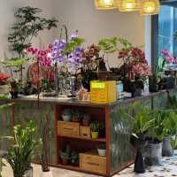 🌸深圳新發現！藏在街角的浪漫花漾咖啡屋🌸